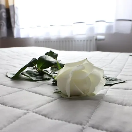 Bm'kruk Stronie Śląskie