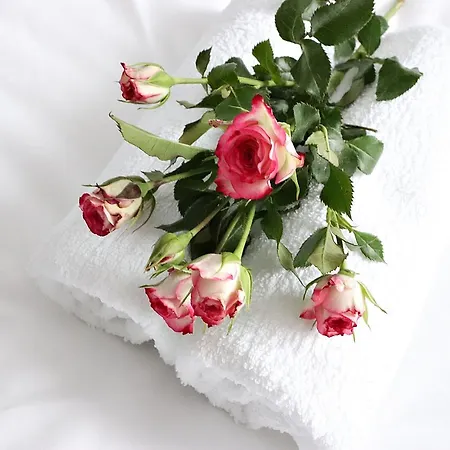 Bm'kruk Stronie Śląskie