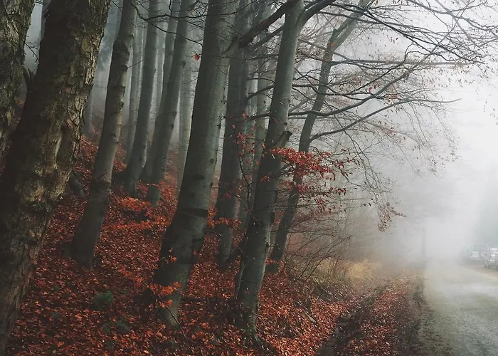 Bm'kruk Appartamento