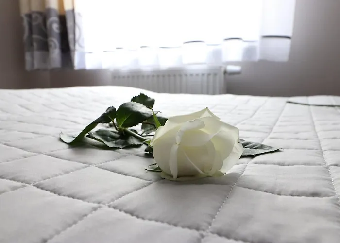 Bm'kruk Stronie Śląskie