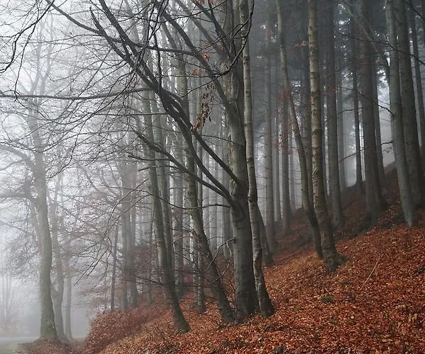 Appartement Bm'kruk *