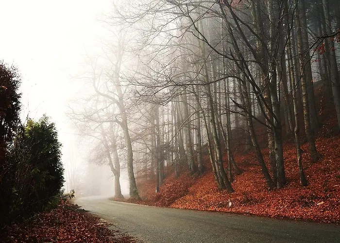 Appartement Bm'kruk *