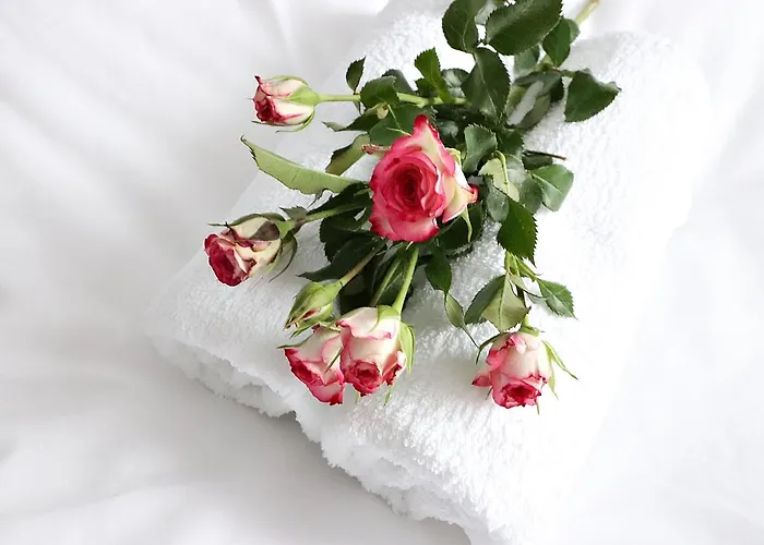 Bm'kruk Stronie Śląskie